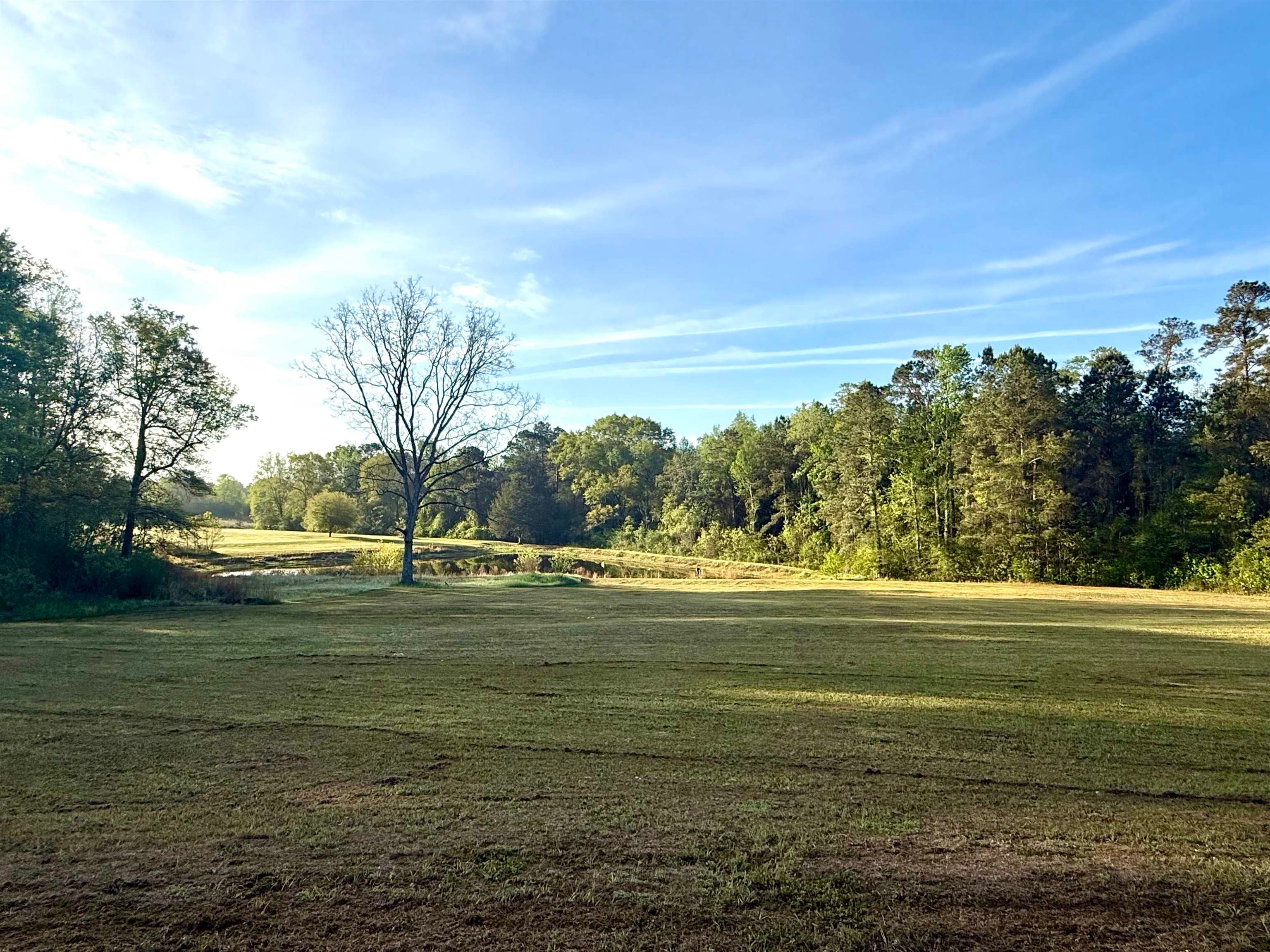 18392 George Mims Road Andalusia, AL 36421 - Photo 5 of 27 Gallery Image 5