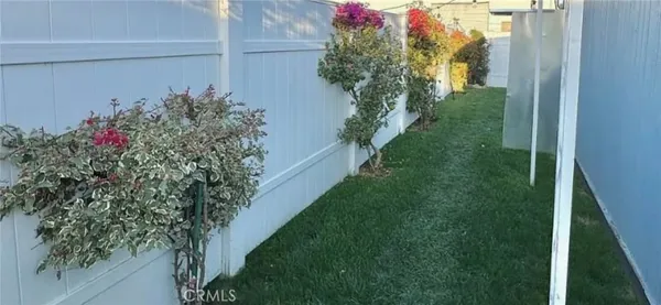a flower plants with wooden fence