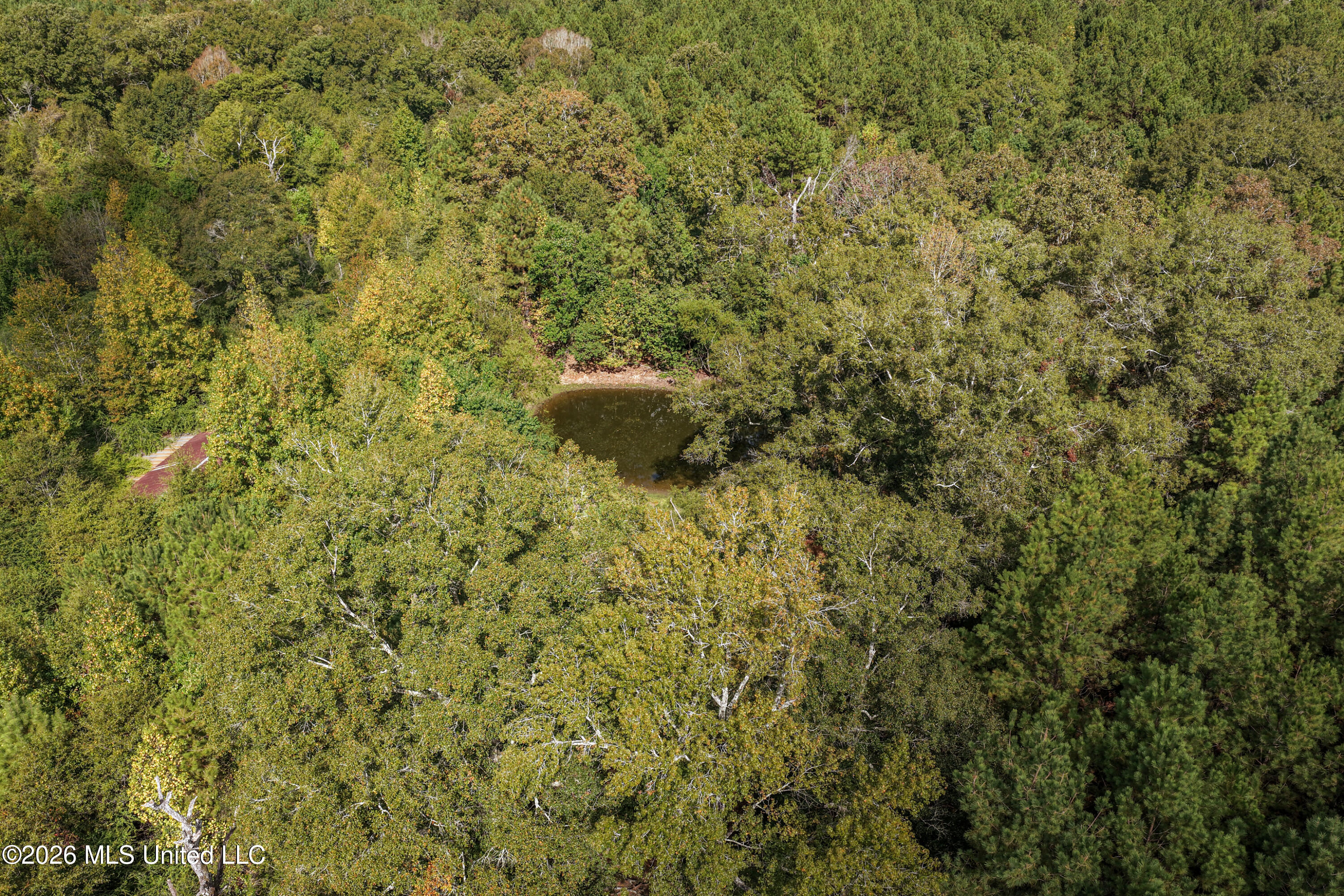 Allen Lane Magnolia, MS 39652 - Photo 4 of 21 DJI_20261002105057_0143_D