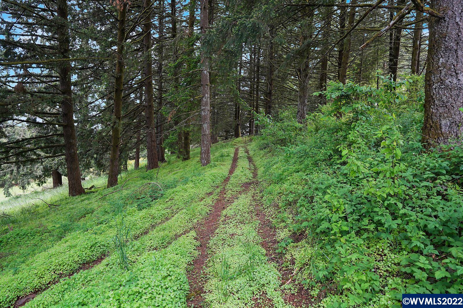 6924 Skyline Road South Salem, OR 97306 - Photo 35 of 42