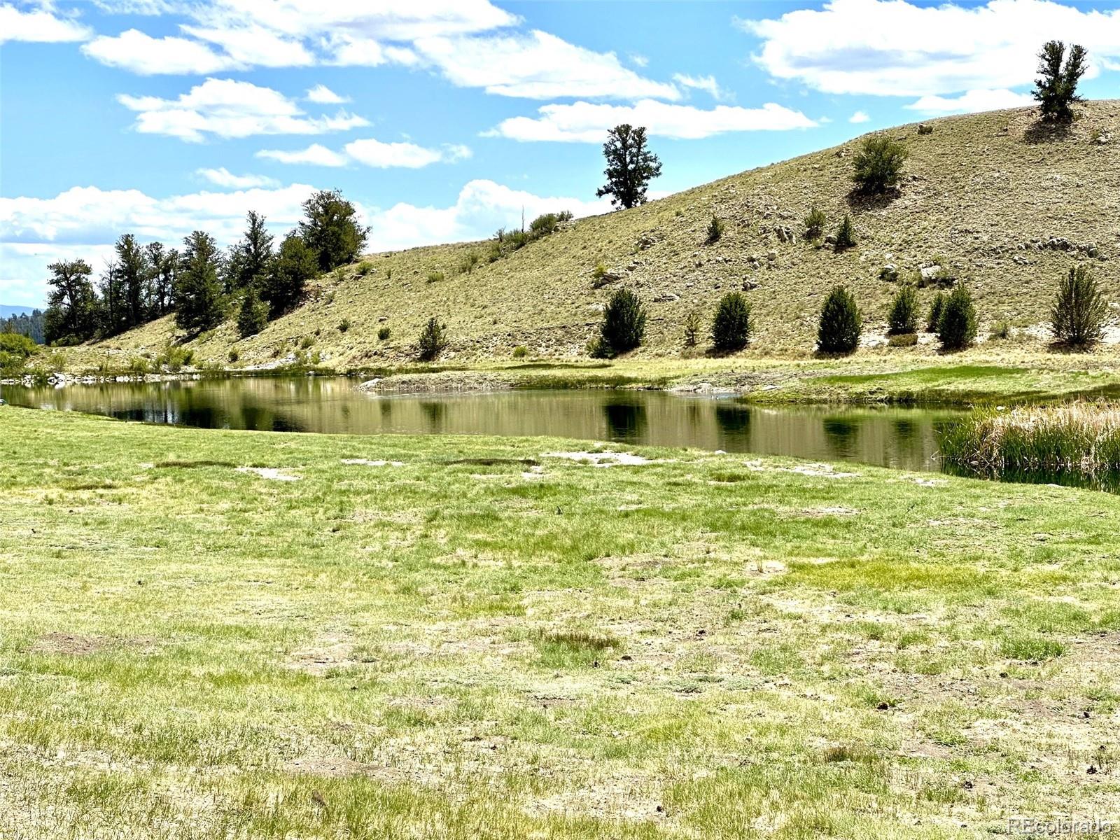 1593 Yellowstone Road Hartsel, CO 80449 - Photo 5 of 16