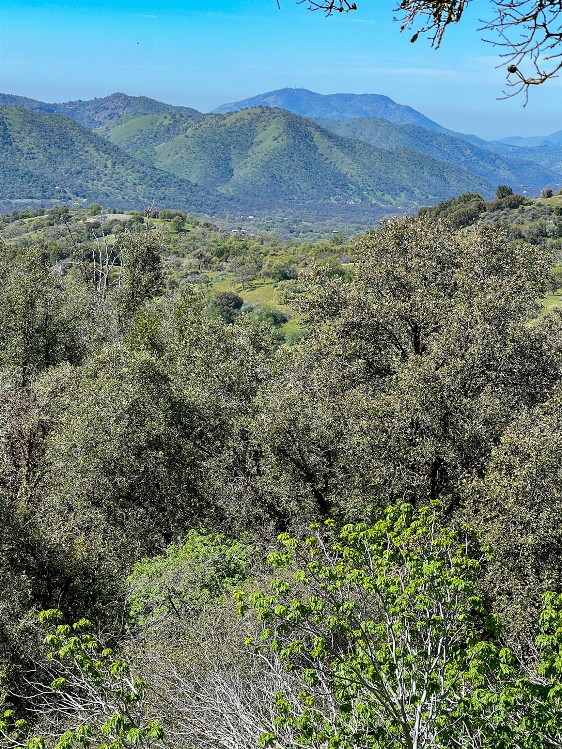 44981 Todd Eymann Road Dunlap, CA 93621 - Photo 51 of 74 a view of a dry yard with mountains in the background