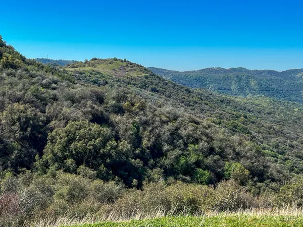 $475,000 | 44981 Todd Eymann Road, Dunlap, CA 93621