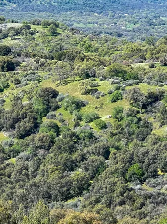 $475,000 | 44981 Todd Eymann Road, Dunlap, CA 93621
