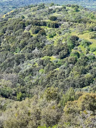 $475,000 | 44981 Todd Eymann Road, Dunlap, CA 93621