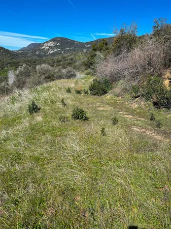 $475,000 | 44981 Todd Eymann Road, Dunlap, CA 93621