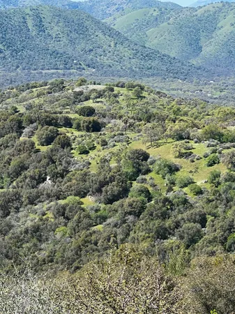 $475,000 | 44981 Todd Eymann Road, Dunlap, CA 93621