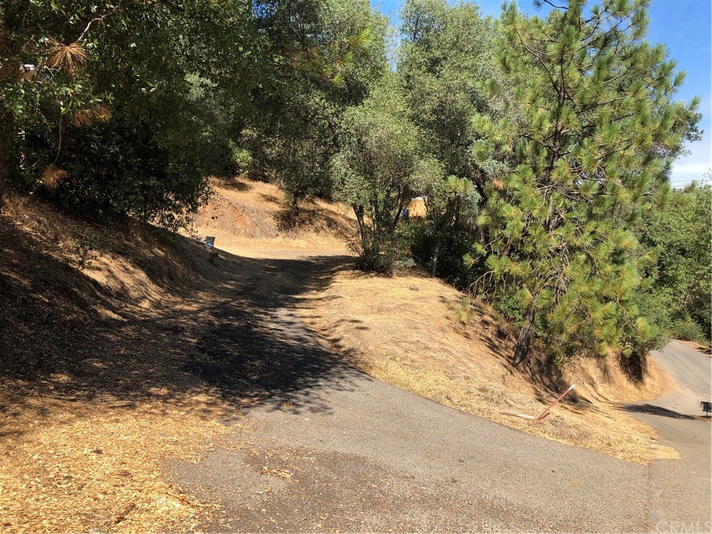 Driveway going to the lot