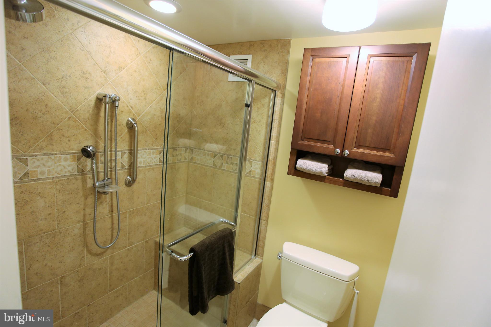 4515 Willard Avenue, Unit 704S Chevy Chase, MD 20815 - Photo 16 of 30 Bath (Master)