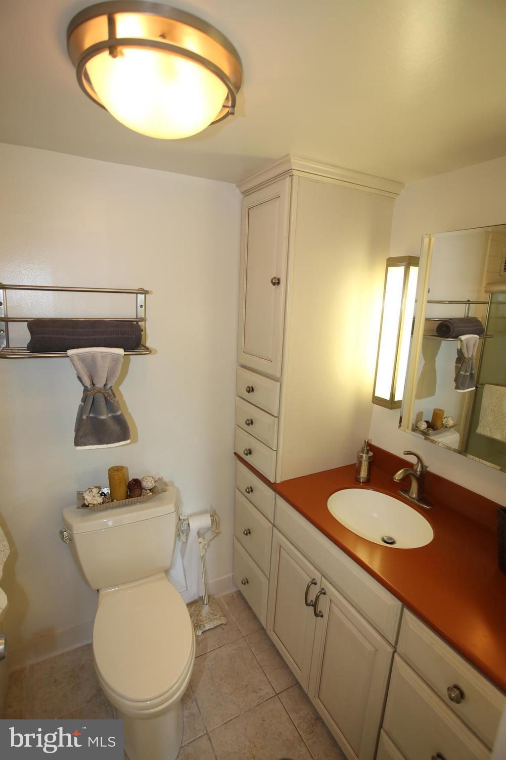 4515 Willard Avenue, Unit 704S Chevy Chase, MD 20815 - Photo 17 of 30 Bath