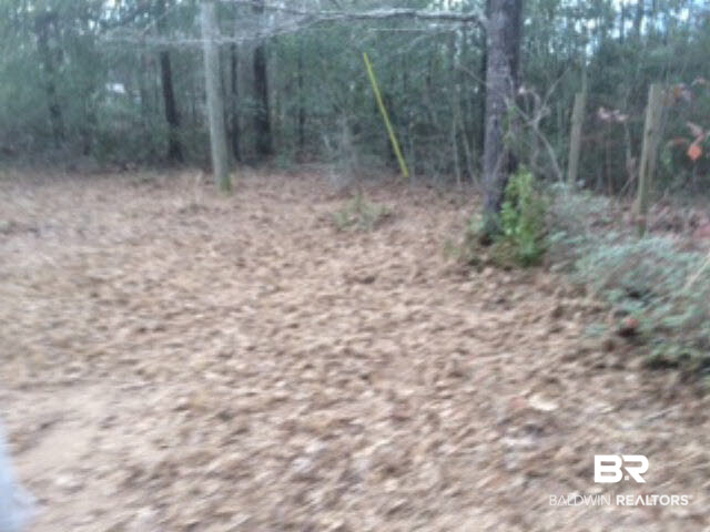15350 Grady Dunn Road South Wilmer, AL 36587 - Photo 14 of 14