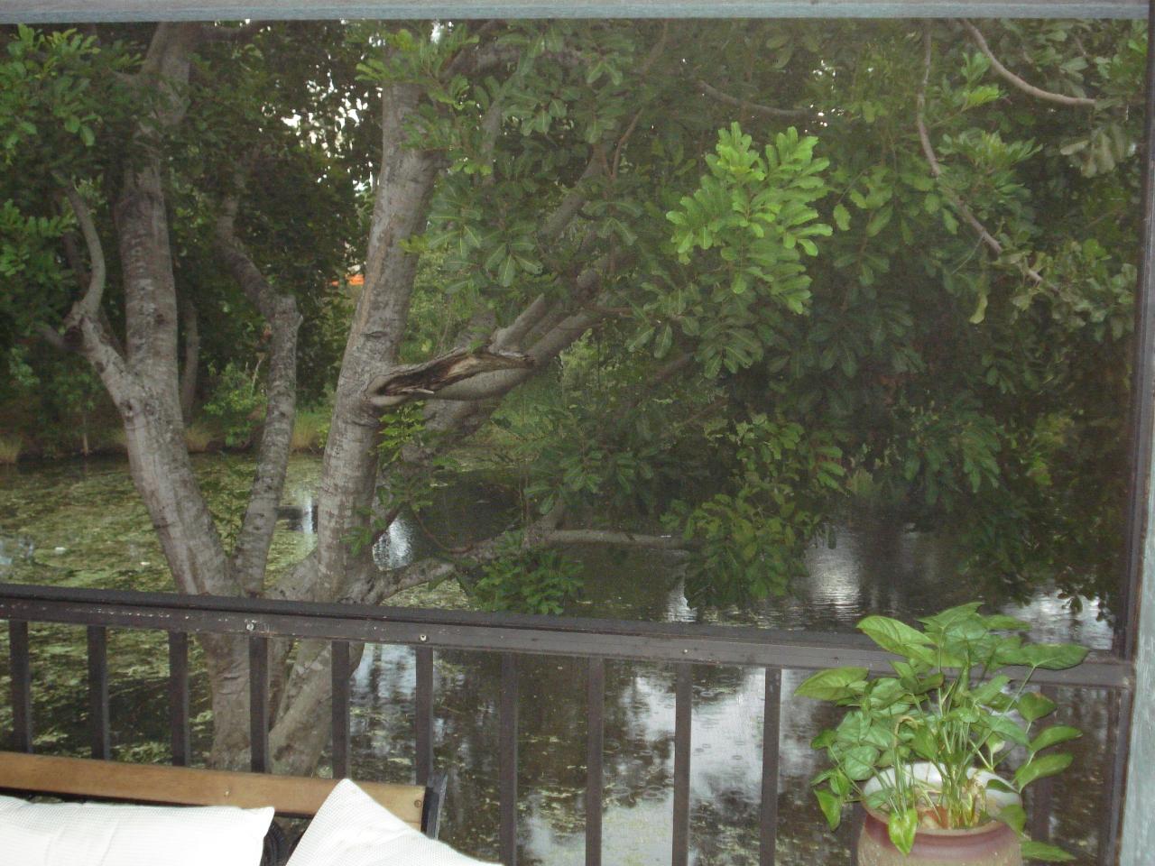 306 Harbour Pointe Way Greenacres, FL 33413 - Photo 2 of 7 Back View From Patio