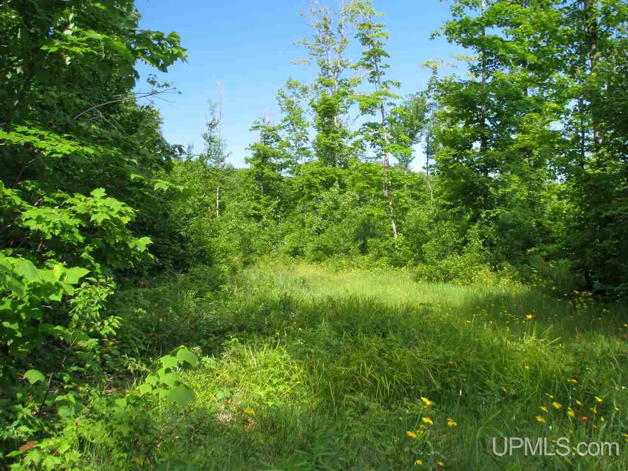 Tbd Cemetery Road Grand Marais, MI 49839 - Photo 5 of 12 Gallery Image 5