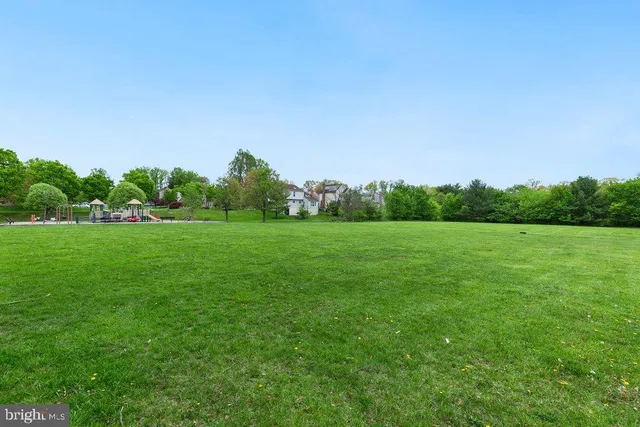 a park view with a bench