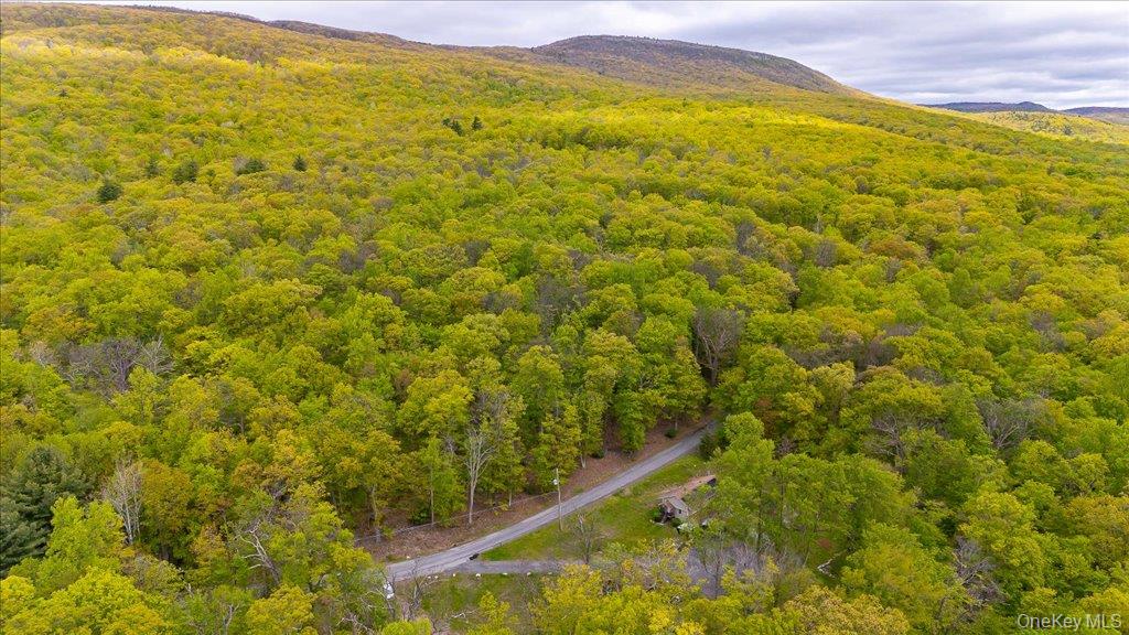 80 Jones Road Pine Bush, NY 12566 - Photo 36 of 44