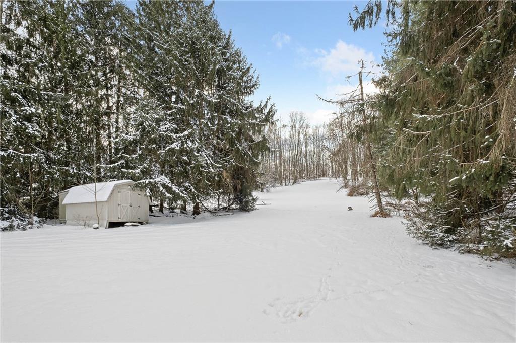 2912 Clearview Road Allison Park, PA 15101 - Photo 32 of 35 Amazing Sledding Hill Or Space To Enjoy The Outdoors