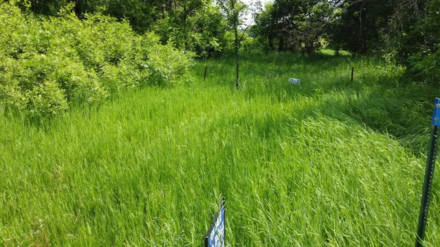 $145,000 | 20710 Oakdale Road, Underwood, MN 56586