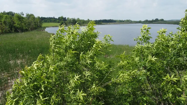 $145,000 | 20710 Oakdale Road, Underwood, MN 56586