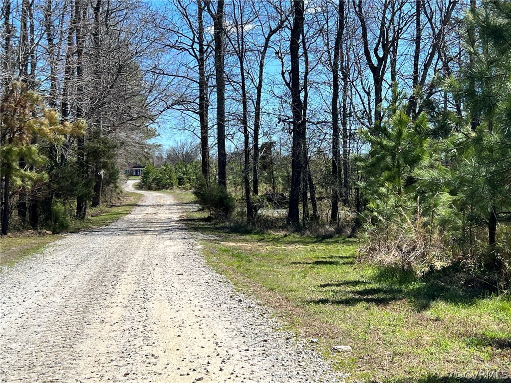 1214 Wilson Road Wilsons, VA 23894 - Photo 38 of 41 a view of a park with trees