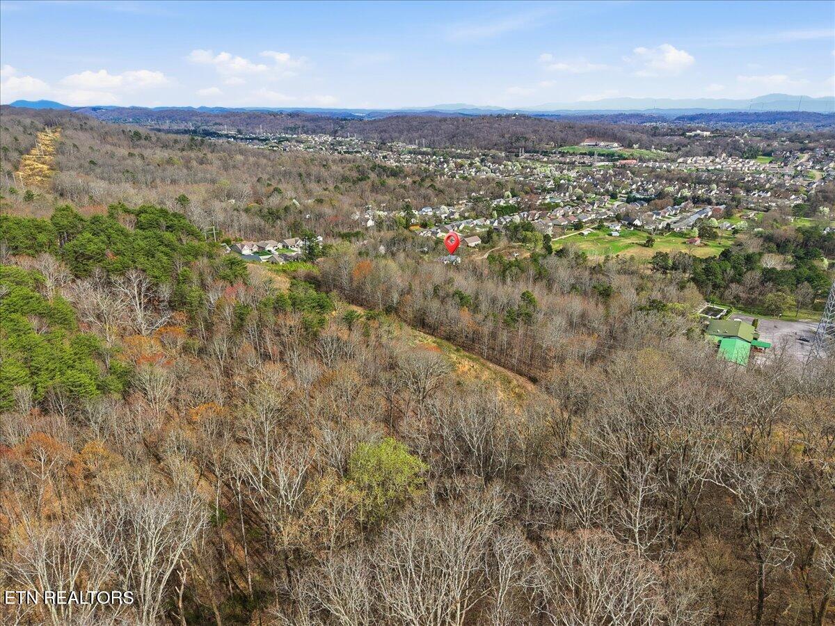 541 Dante Road Knoxville, TN 37918 - Photo 6 of 11 06-008_dji_fly_20260311_162036_0023_1773