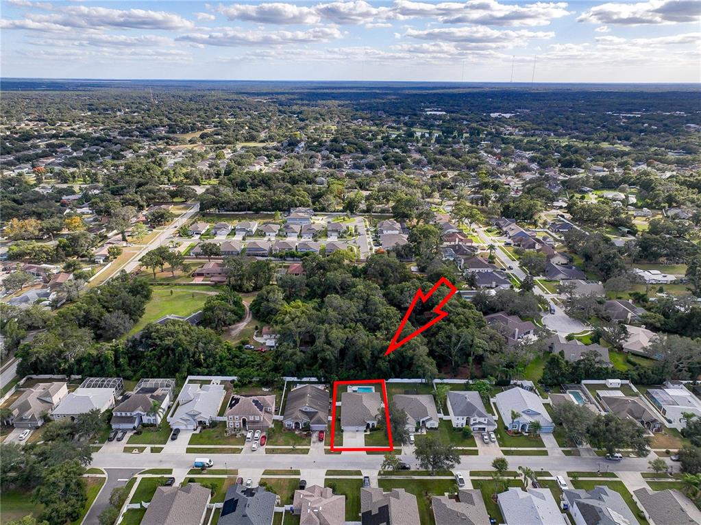 2823 Windcrest Oaks Court Valrico, FL 33594 - Photo 40 of 41