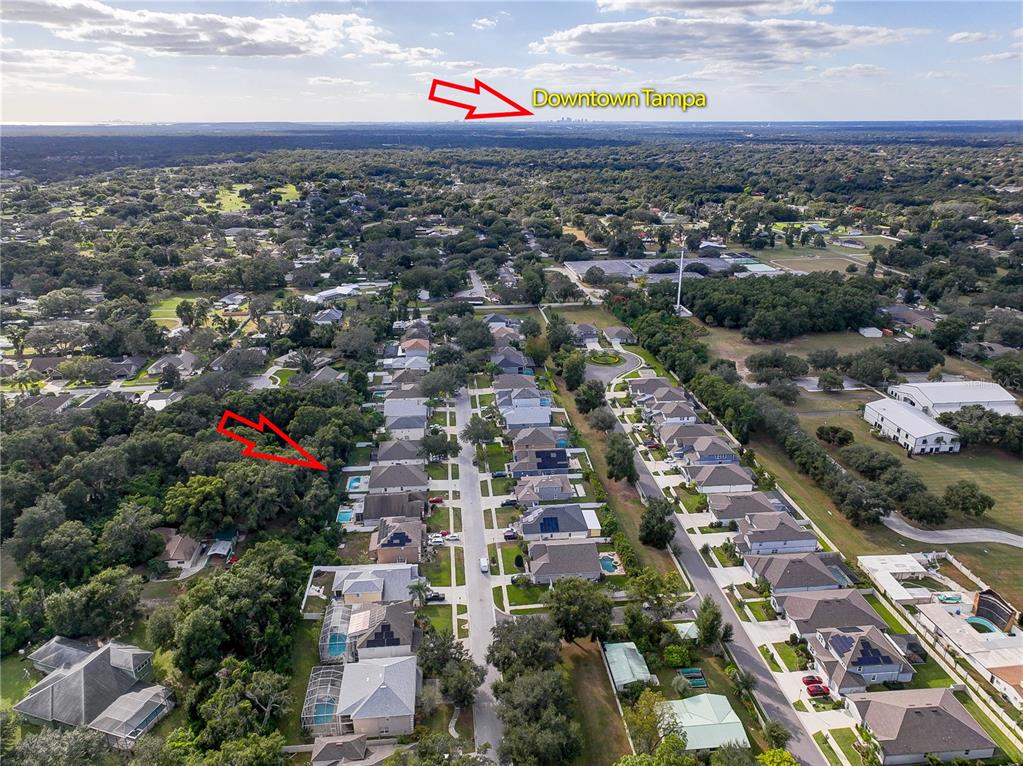 2823 Windcrest Oaks Court Valrico, FL 33594 - Photo 41 of 41