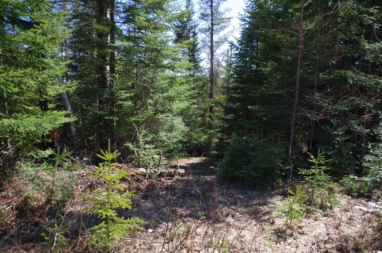 Lot 3 Double Ee Road Park Falls, WI 54552 - Photo 25 of 28 Gallery Image 25