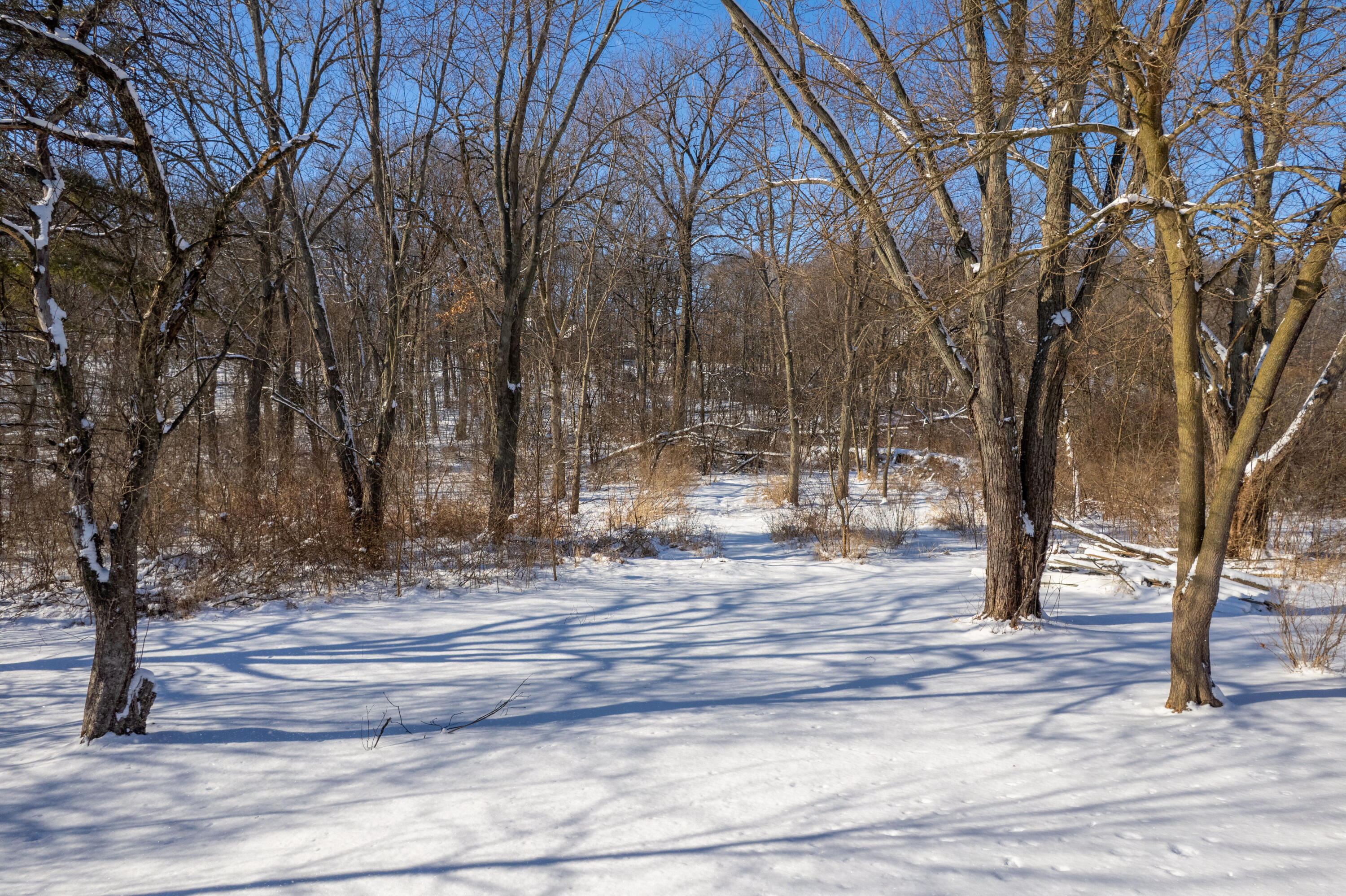 12418 White Oak Drive Crown Point, IN 46307 - Photo 6 of 52 3000x1998
