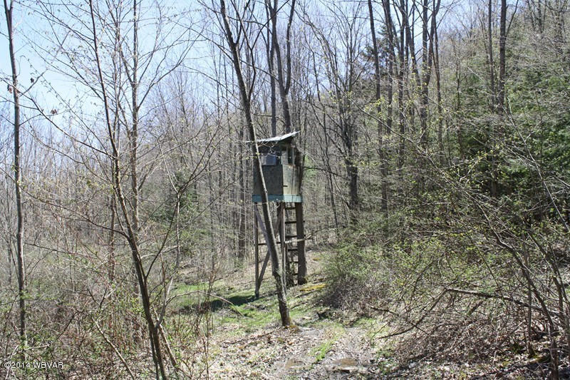 480 Trowbridge Station Road Millerton, PA 16936 - Photo 48 of 77 126390-48