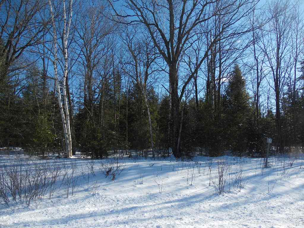 Acreage County Rd K Irma, WI 54442 - Photo 1 of 1