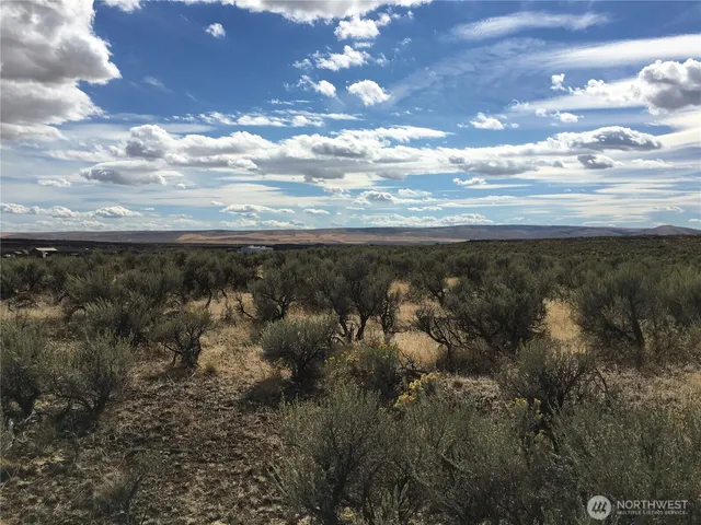 a view of city and mountain
