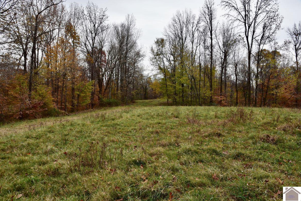 0 Beech Grove Road Hickman, KY 42050 - Photo 4 of 35 Photo 4