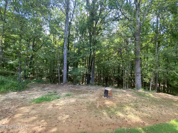 $299,992 | 1930 Smart Road, Como, MS 38619