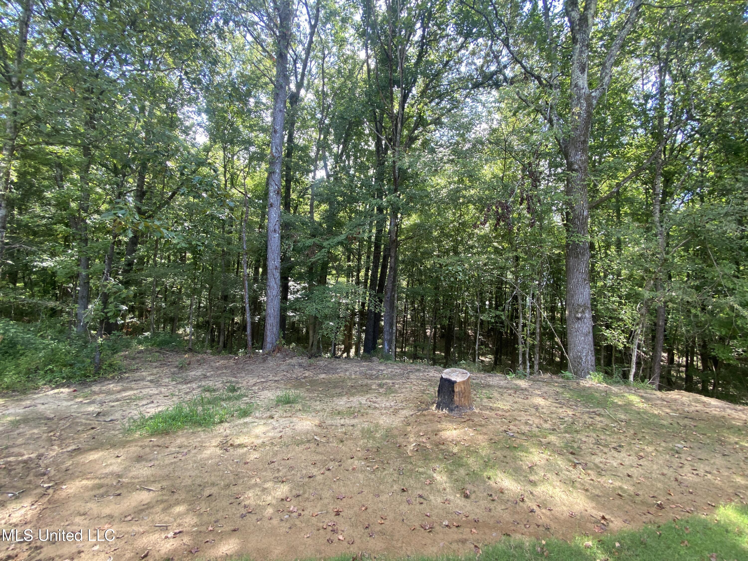 1930 Smart Road Como, MS 38619 - Photo 18 of 29 Back yard