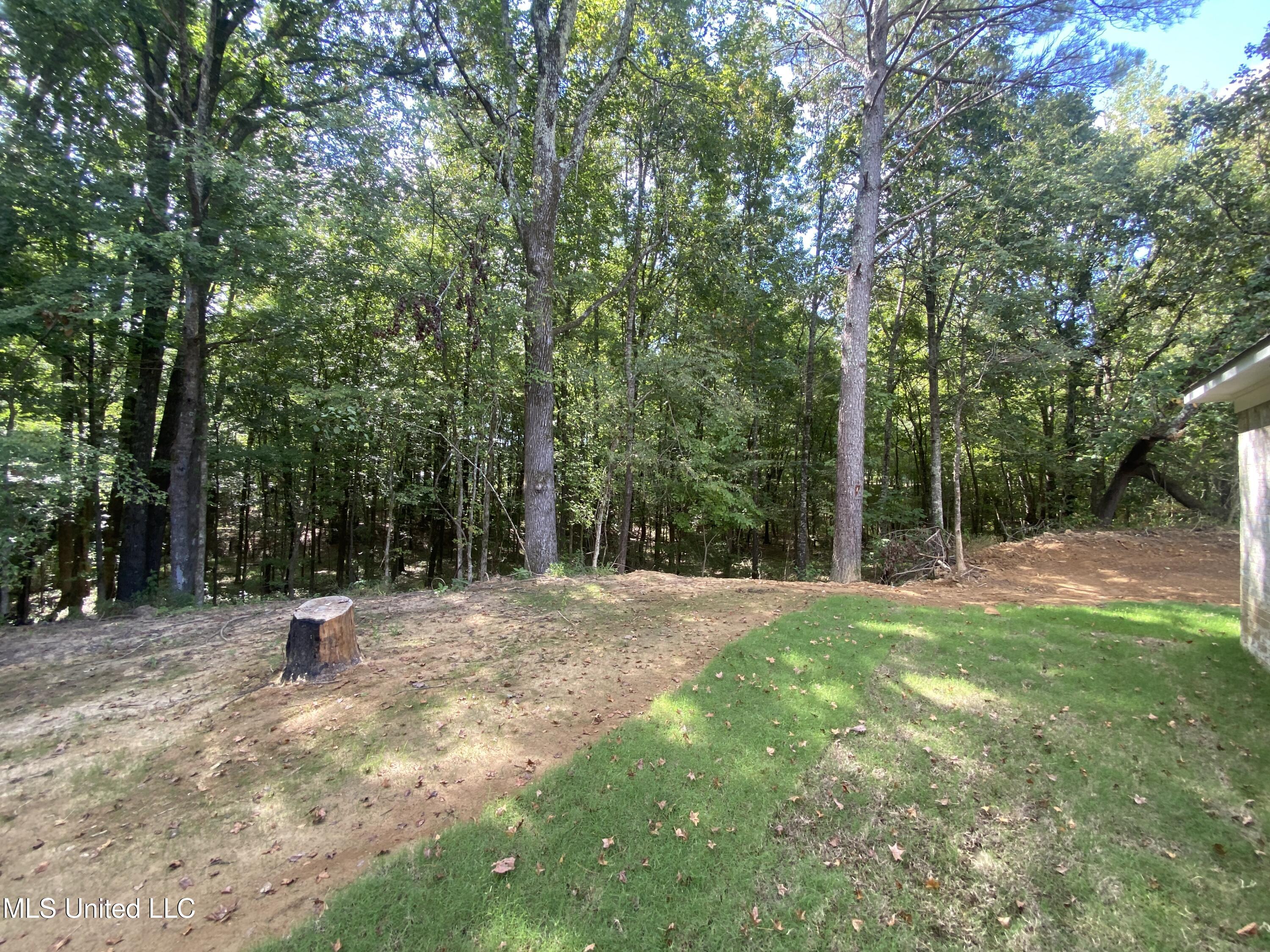 1930 Smart Road Como, MS 38619 - Photo 19 of 29 Back yard