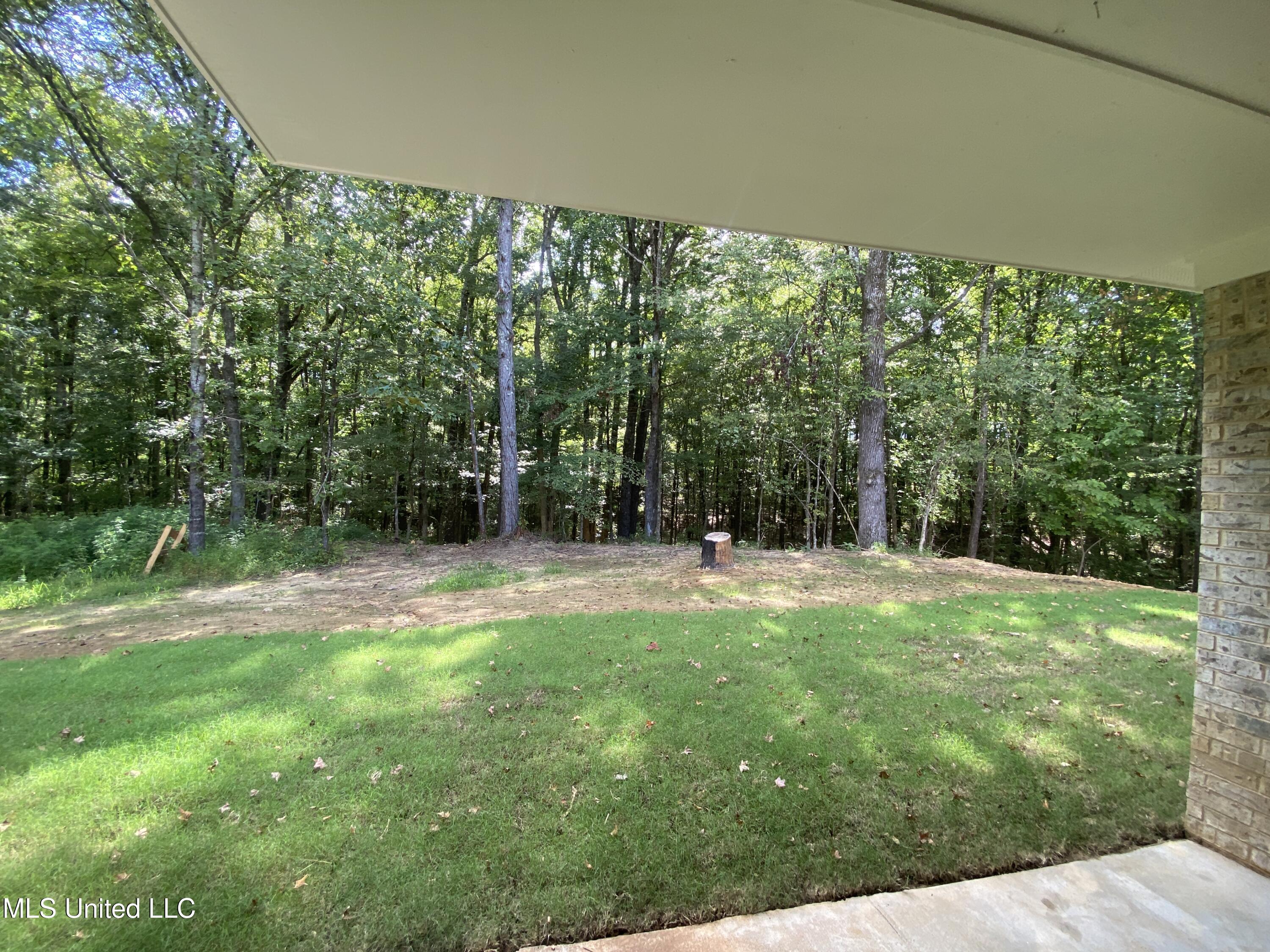 1930 Smart Road Como, MS 38619 - Photo 20 of 29 view from back porch