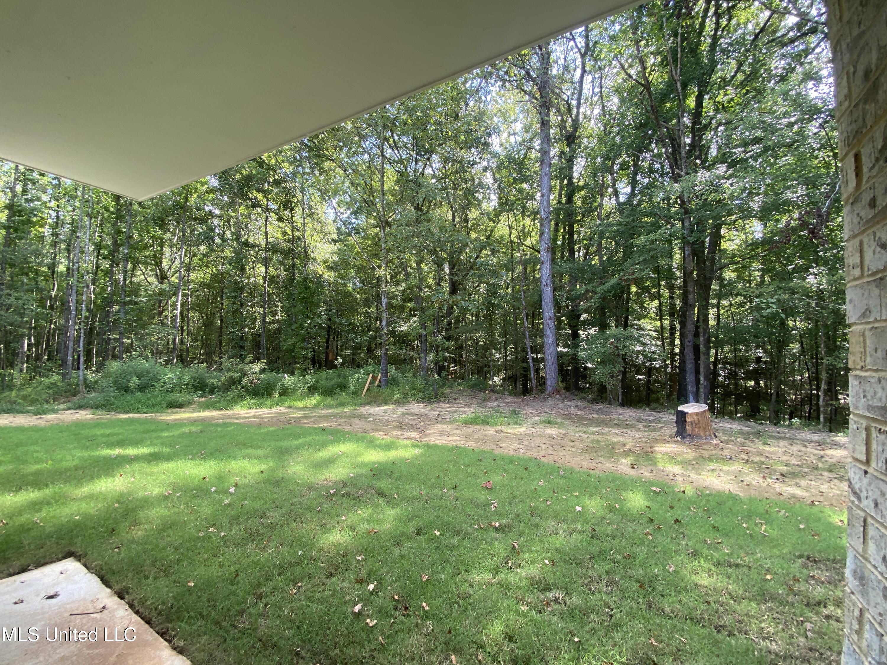 1930 Smart Road Como, MS 38619 - Photo 21 of 29 view from back porch