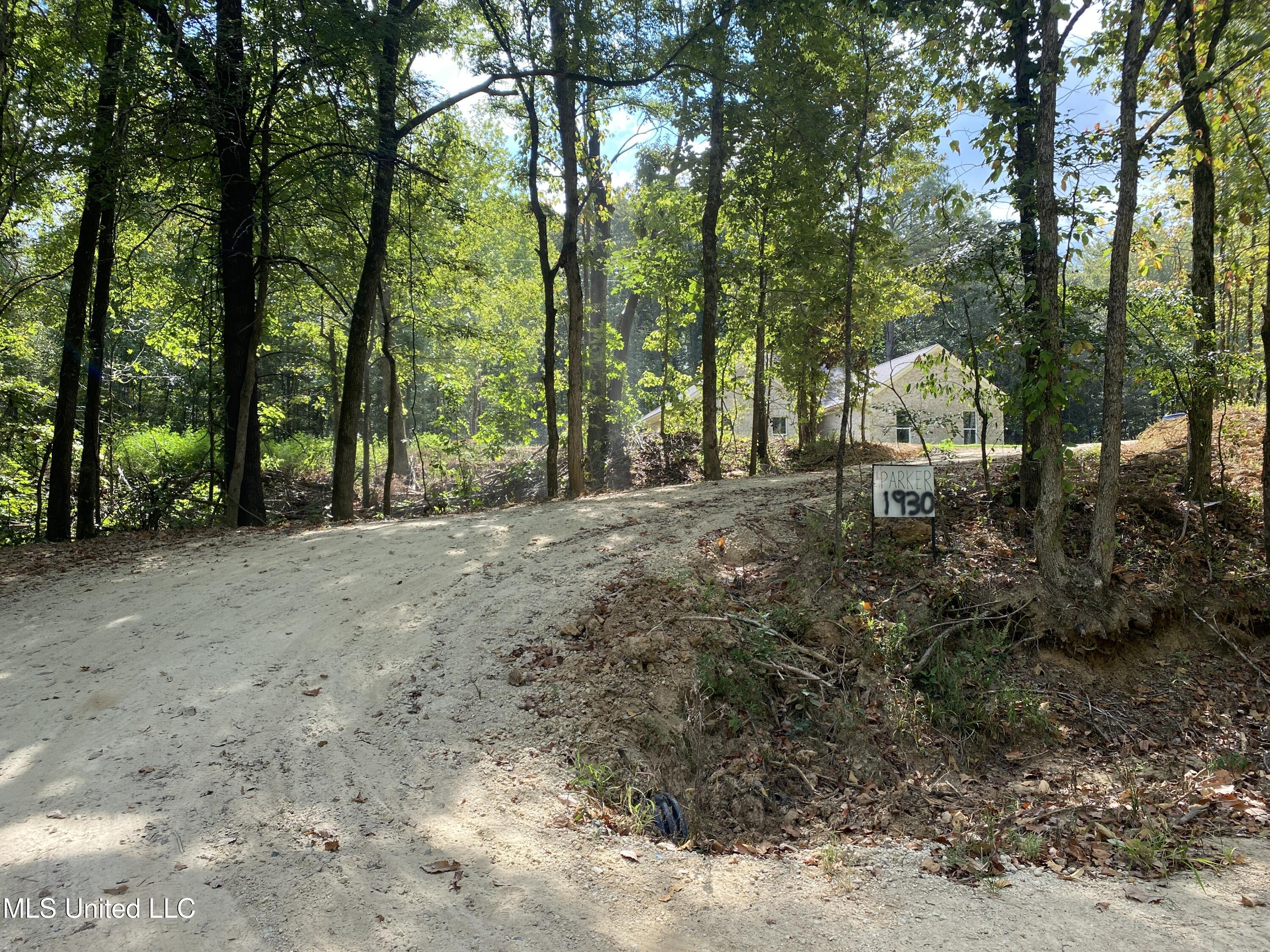 1930 Smart Road Como, MS 38619 - Photo 29 of 29 gravel drive