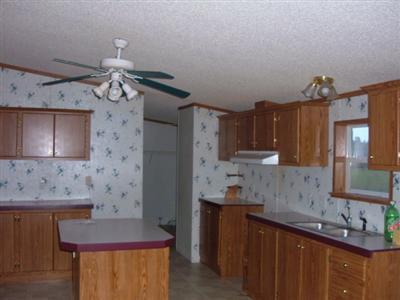 5534 East Charles Road Ionia, MI 48846 - Photo 5 of 15 Additional Photo