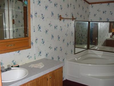 5534 East Charles Road Ionia, MI 48846 - Photo 8 of 15 Additional Photo