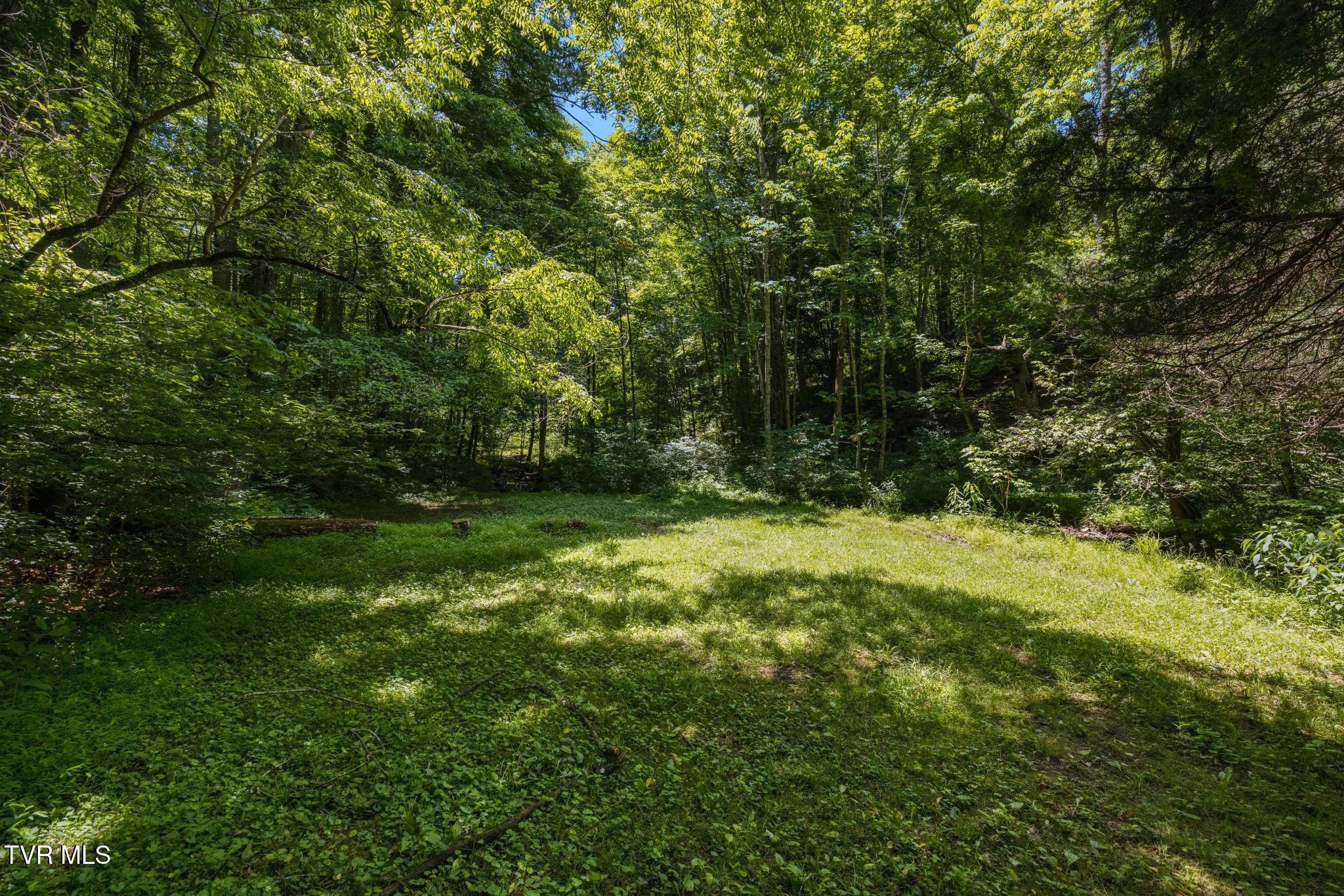 35000 Barrtree Lane Glade Spring, VA 24340 - Photo 79 of 79 IMG_8911