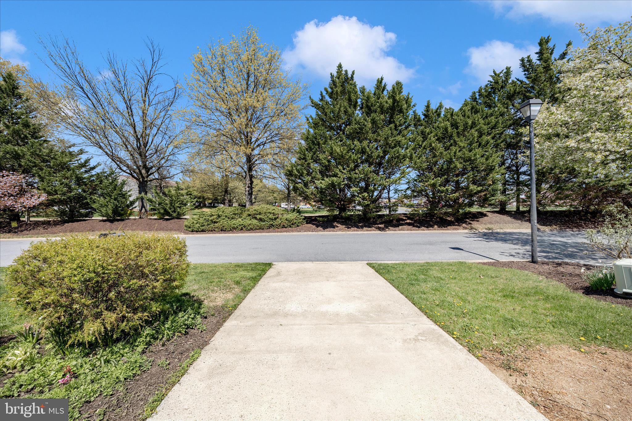 5738 Box Elder Court Frederick, MD 21703 - Photo 38 of 50 a view of park with large trees