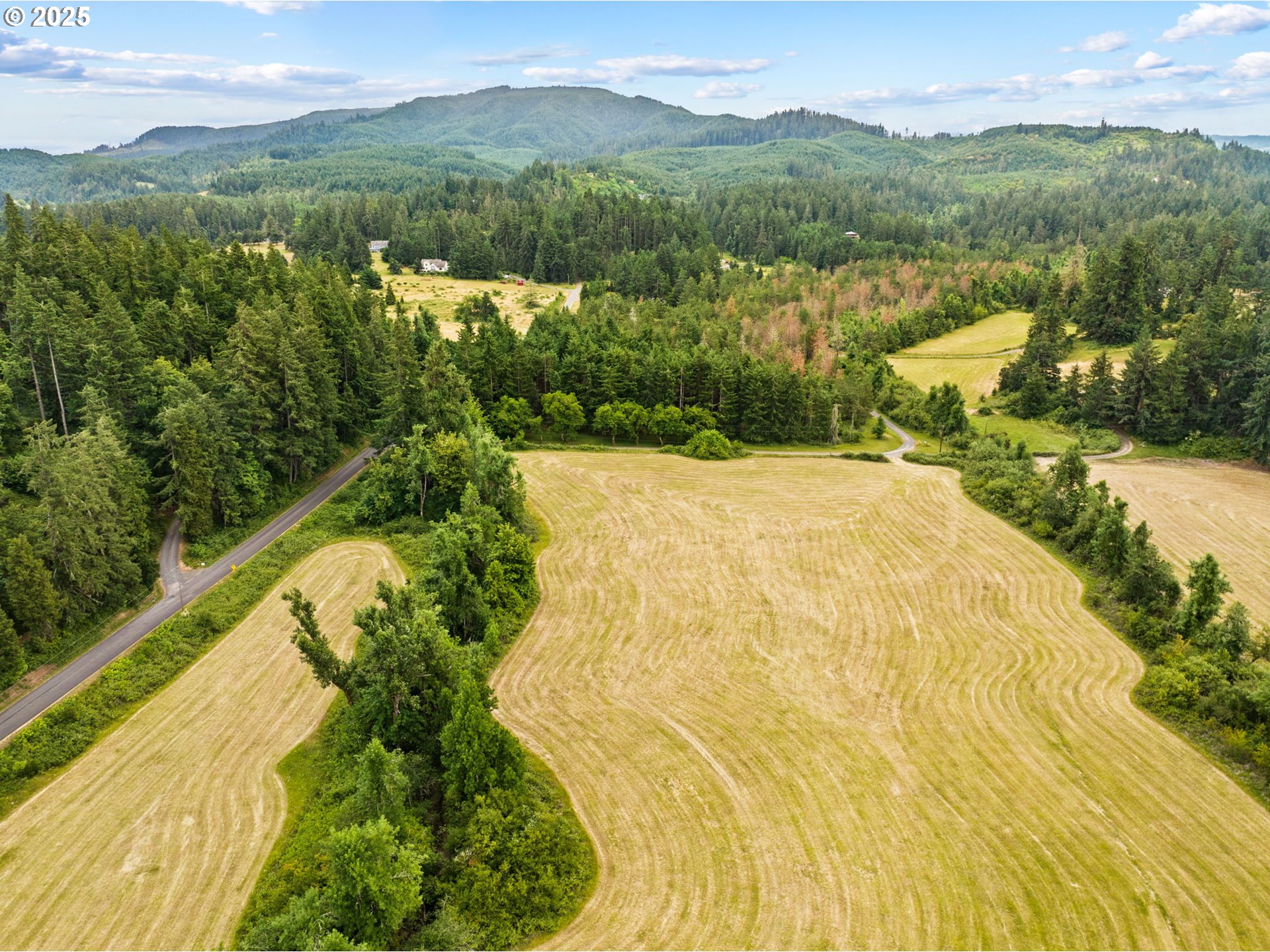 Papenfus Road Creswell, OR 97426 - Photo 4 of 15 Gallery Image 4