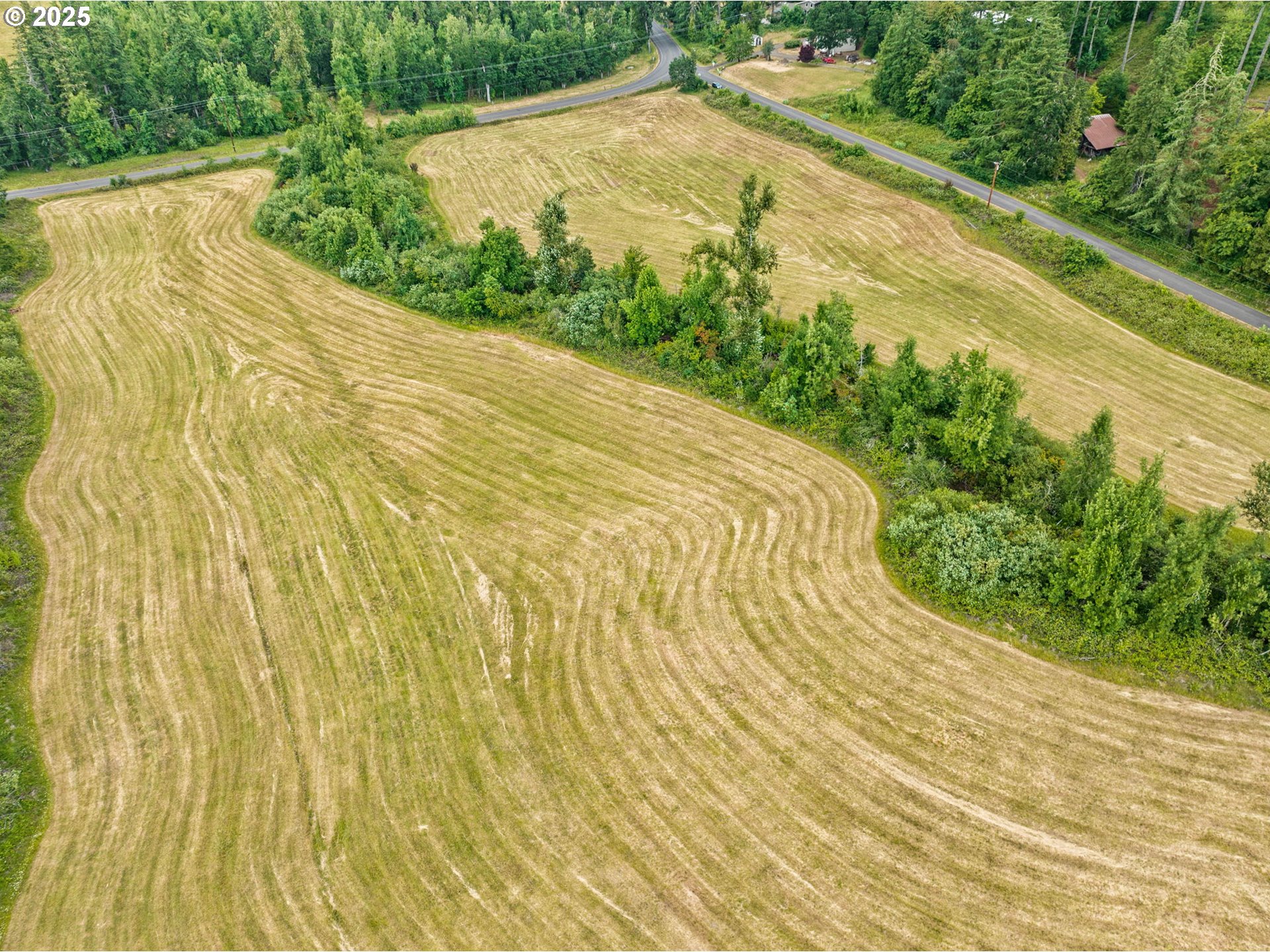 Papenfus Road Creswell, OR 97426 - Photo 8 of 15 Gallery Image 8