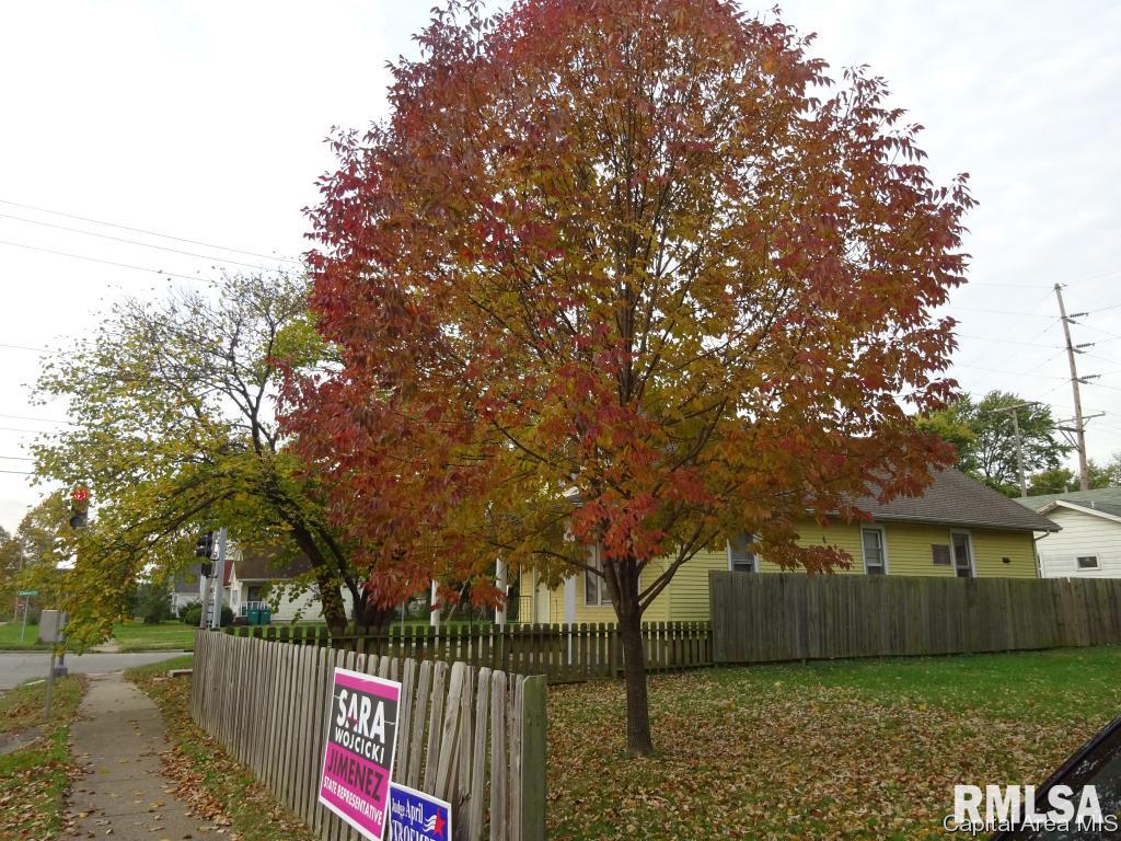 1727 South 9th Street Springfield, IL 62703 - Photo 2 of 34