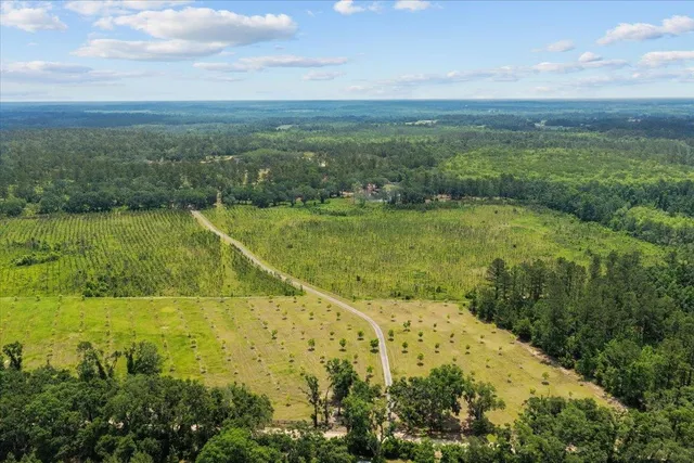 $3,285,000 | 1706 Northwest Radford Denson Road, Greenville, FL 32331