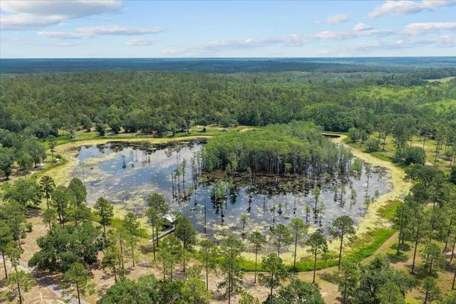 $3,285,000 | 1706 Northwest Radford Denson Road, Greenville, FL 32331