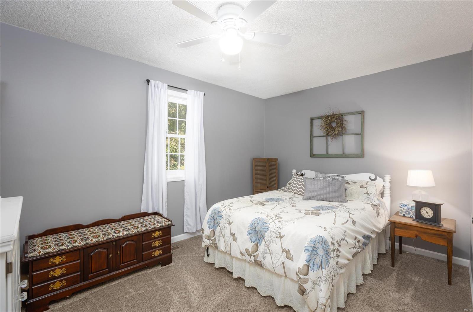 30664 Delhi Road Brighton, IL 62012 - Photo 36 of 50