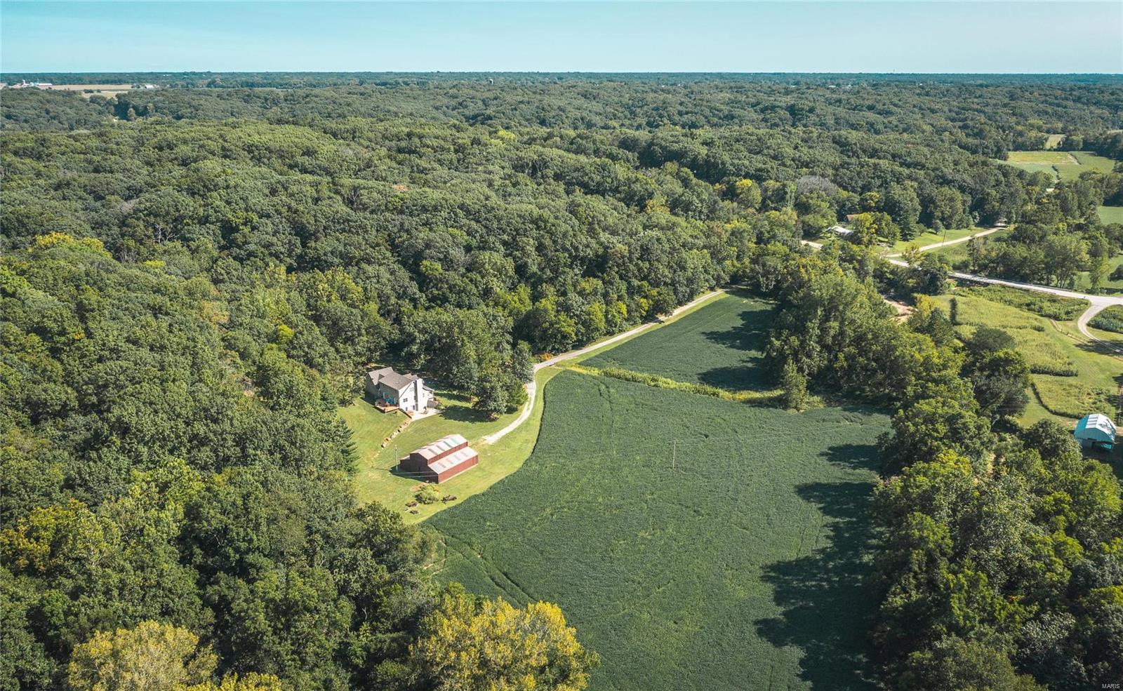 30664 Delhi Road Brighton, IL 62012 - Photo 9 of 50
