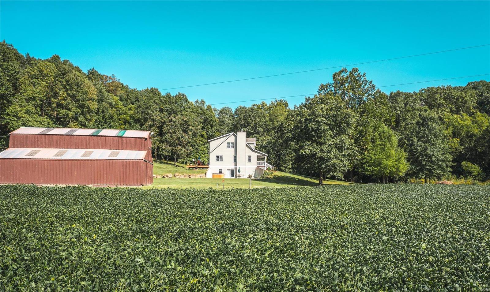 30664 Delhi Road Brighton, IL 62012 - Photo 10 of 50